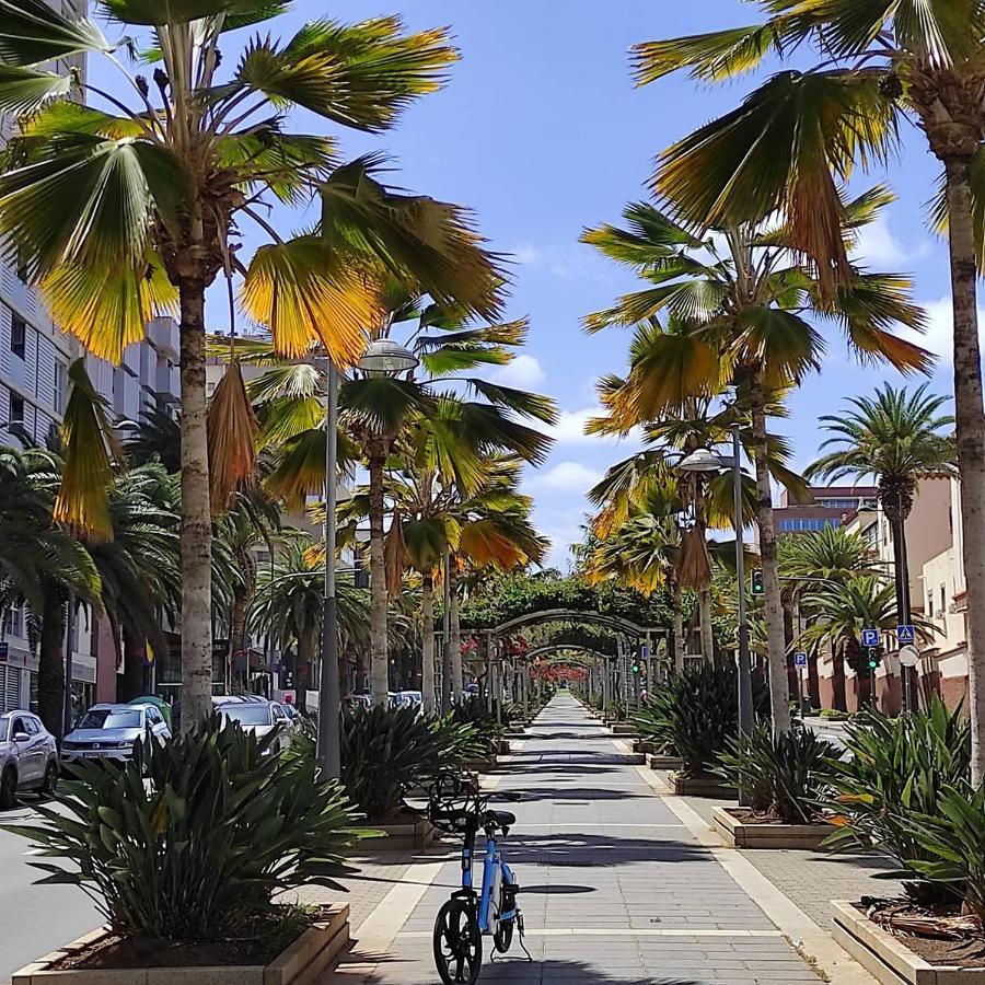 Apartamento Bien Situado - Buenas Conexiones Santa Cruz de Tenerife Dış mekan fotoğraf